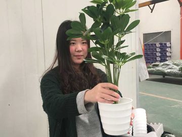 Cici Zeng Cici Zeng