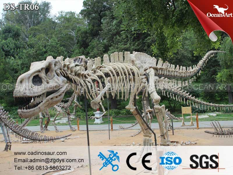 dinosaur_fossil_Life_Size_Dinosaur_Fossil_and_Skeleton_Model