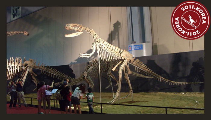 dinosaur_fossil_show_1