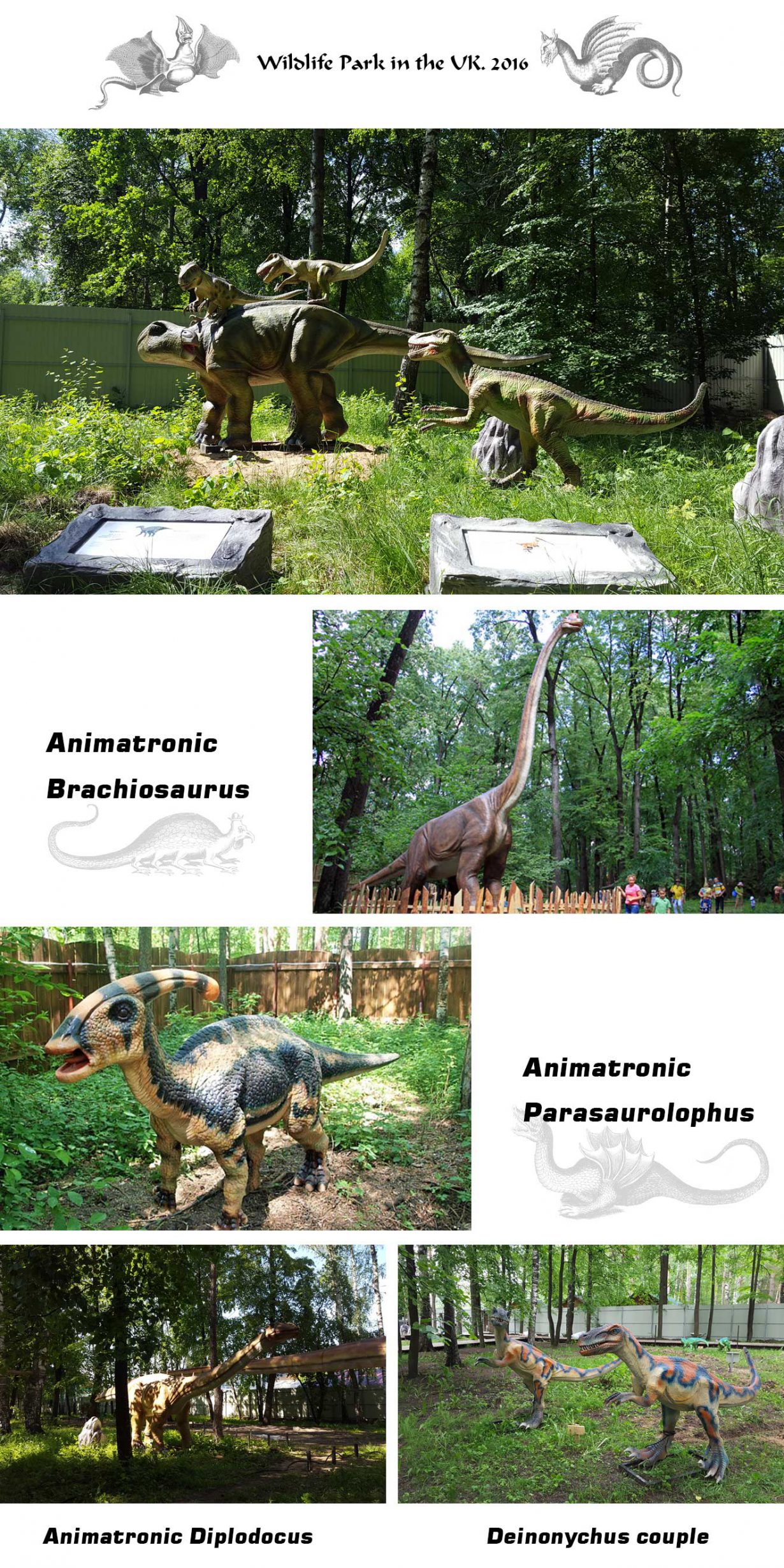 dinosaur_park_4
