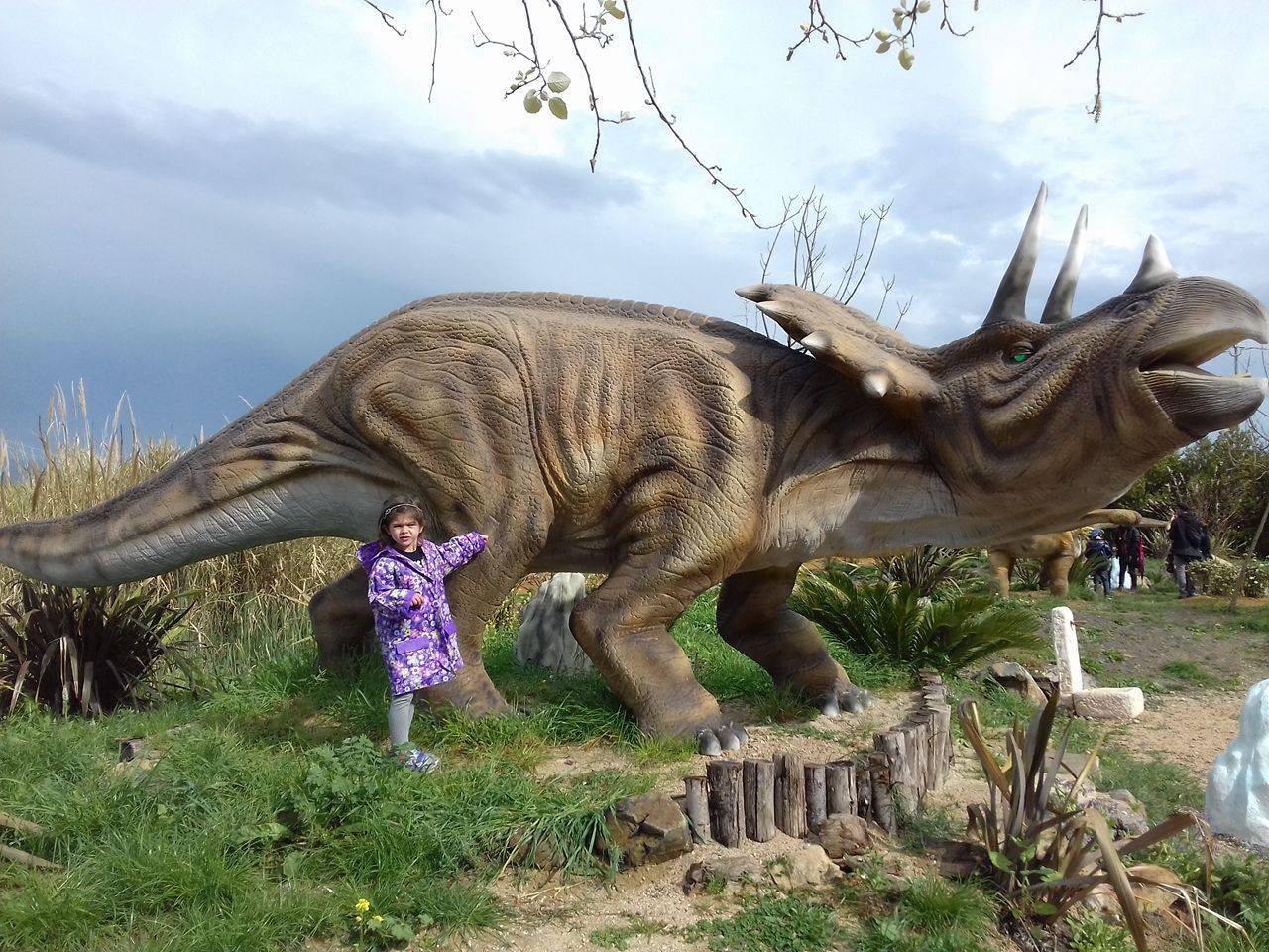 Comprehensive dinosaur Park (2)