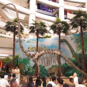 indoor_dinosuarfossil_show_2