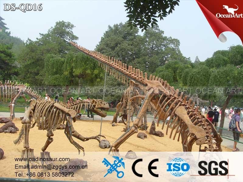 Life Size full real dinosaur skeleton replica for sale Ocean Art Dinosaur
