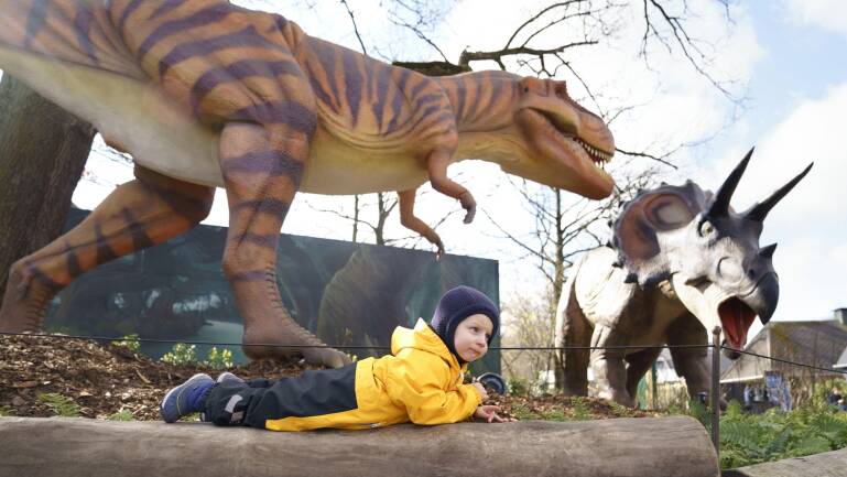 zoo dinosaur project